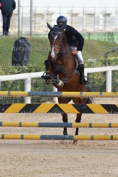 COLOMBO_NBANAT_GIO CAV 2011_SS3_8455.jpg